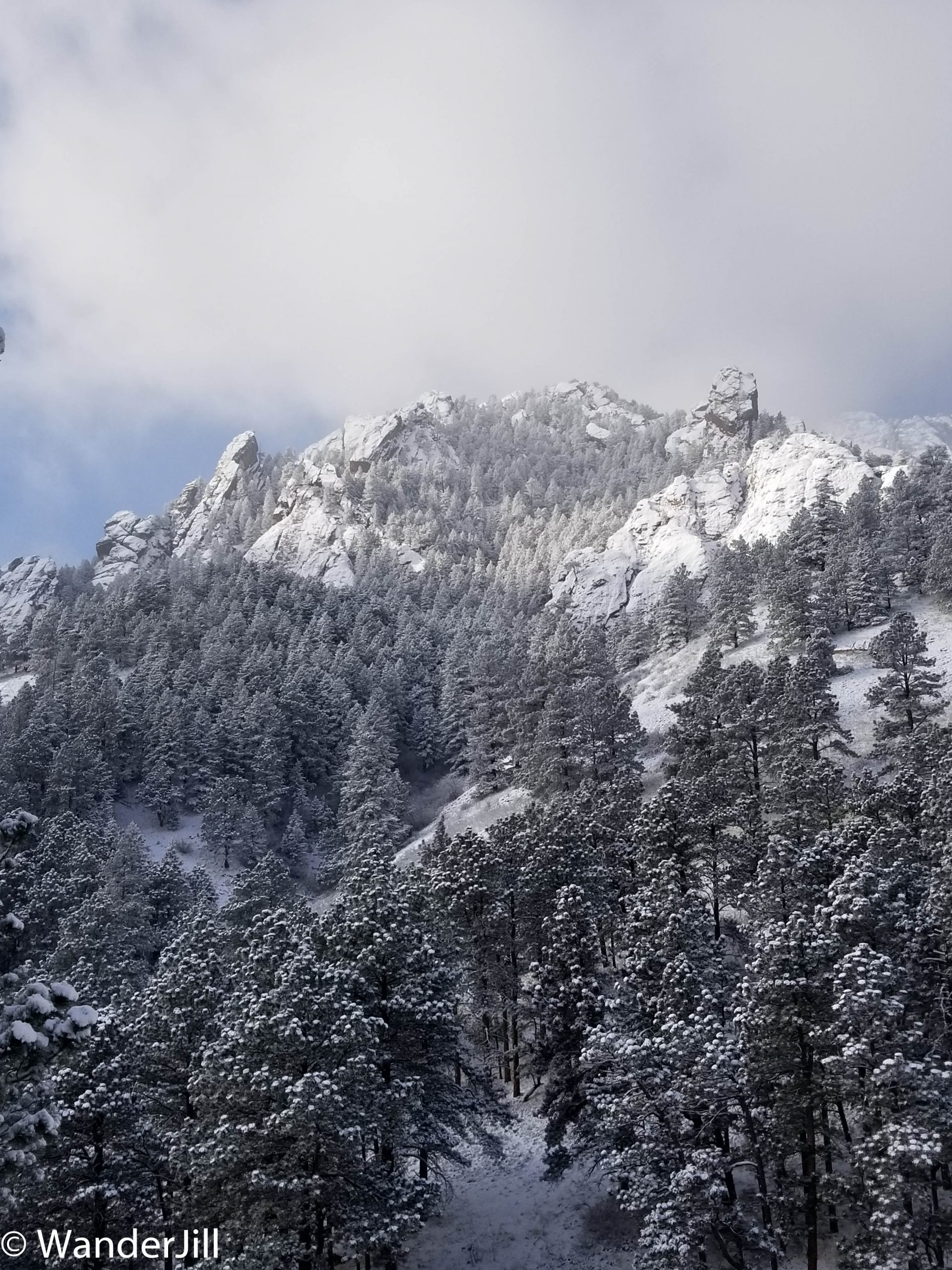 A New Year’s Day Wander to Bear Peak